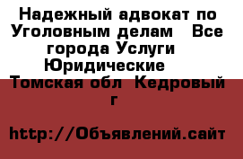 Надежный адвокат по Уголовным делам - Все города Услуги » Юридические   . Томская обл.,Кедровый г.